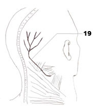 Myofascial Release Therapy Image.